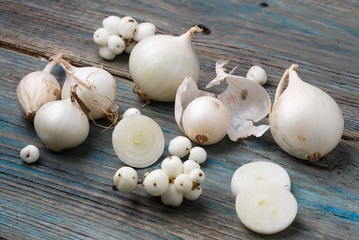 white onion and white berries on a blue wooden background
