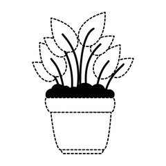 house plant in pot vector illustration design