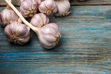violet garlic on a wooden background