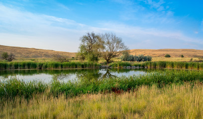 Pond On The Palouse
