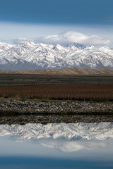 Andes reflection in the Uco valley