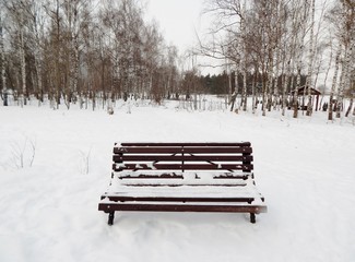 bench in the snow in the winter in the city park