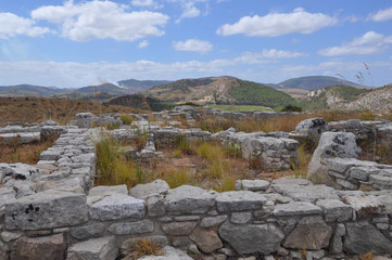 Fototapeta na wymiar Ruins in Segesta