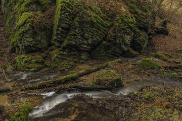 Fototapeta premium Dubinsky creek near Semnice village in Carlsbad area