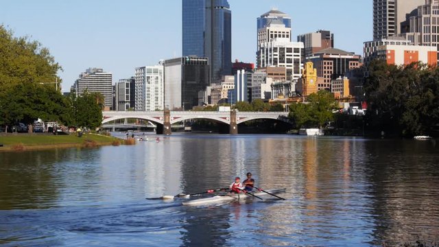rowers exercising on the yarra river