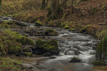 Dubinsky creek near Semnice village in Carlsbad area