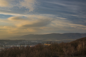 Meadow with trees near Erbenova observation tower