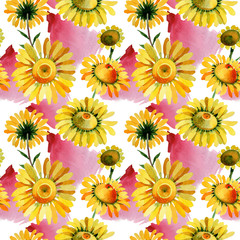 Fototapeta na wymiar Wildflower yellow chamomile flower pattern in a watercolor style. Full name of the plant: yellow chamomile. Aquarelle wild flower for background, texture, wrapper pattern, frame or border.