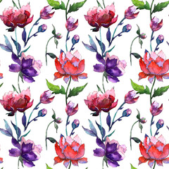 Wildflower peony flower pattern in a watercolor style. Full name of the plant: peony. Aquarelle wild flower for background, texture, wrapper pattern, frame or border.