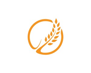 wheat Logo Template vector