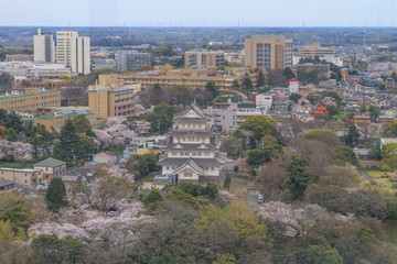 春の千葉城の風景