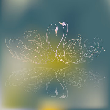 swan and flower background