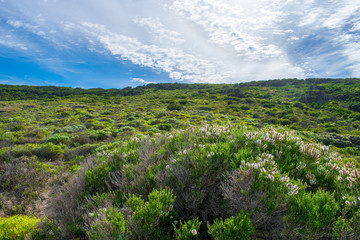 Fototapeta na wymiar landscape western australia