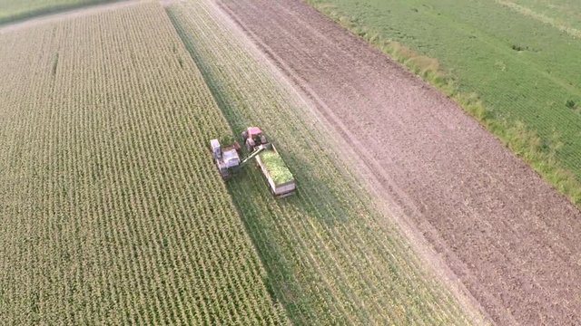 Aerial footage of the harvest of sweet corn.