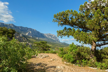 Fototapeta na wymiar Ai-Petri is a peak in Crimean Mountains.