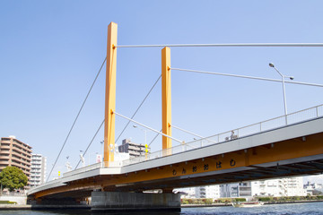 隅田川の風景（新大橋周辺）