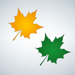 leaf in orange and green colors