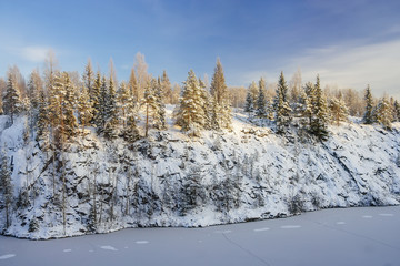 Slope of the mountain with firs in sunlight in winter