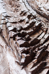 Old wood = texture