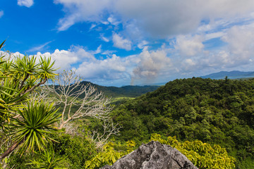 Fototapeta na wymiar view point in the top of ille cave with green valley in El Nido, Palawan province, Philippines
