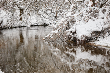 winter forest stream. trees in the snow.
