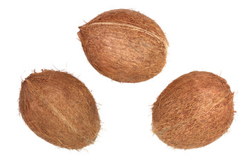 three whole coconut isolated on white background. Flat lay. Top view