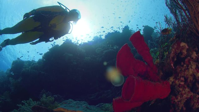 A diver (female) swims in a yellow diving suit through a tropical coral reef, Wakatobi, Indonesia, slow motion