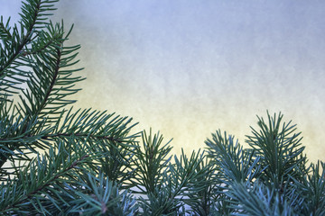 Christmas arrangement of fir branches with copy space for text.