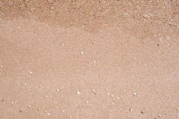 Birch Sea