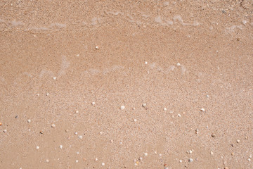 Birch Sea