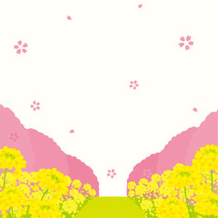 菜の花と桜並木　背景イラスト