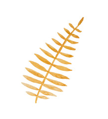 Beautiful abstract orange and yellow leaf painted with watercolor isolated on white background