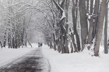 Snow-covered winter park and benches. Park and pier for feeding 