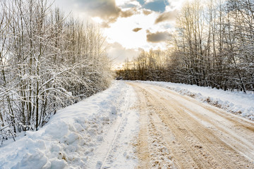 a rural snowy road with snowdrifts on the roadside, tree branches covered with snow caps, a winter forest illuminates the day sun
