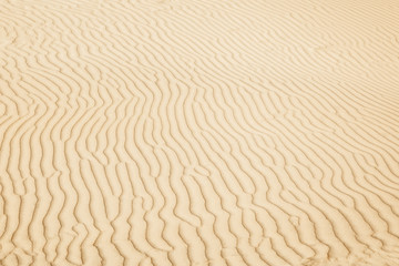 Texture of sea sand. Closeup. The sandy background.