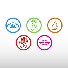 Five senses icon. - 185787317