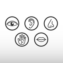 Five senses icon. - 185787328