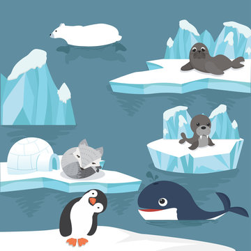 arctic animals  cartoon background