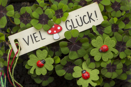 VIEL GL&Uuml;CK Schrift auf Schildchen mit Fliegenpilz Gl&uuml;cksk&auml;fern in Gl&uuml;cksklee
