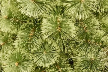 Christmas home room with tree and festive bokeh lighting, blurred holiday background