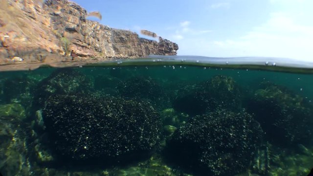 Split: rocky seashore from above, underwater rocks from below.

