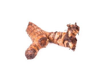 edible biennial plant head, Canna edulis Ker. CANNACEAE on white background