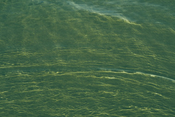 Obraz premium water texture background close up