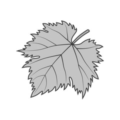 Grape leaf vector gray symbol or illustration