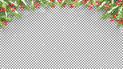 Winter Web Banner with Realistic Branches