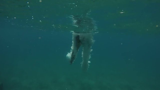 An impressive view of a young man jumping feet first in the blue sea waters. He is shot in the air and underwater and looks arty in slow motion.