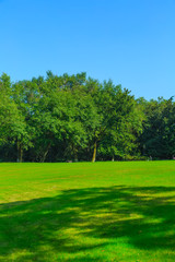 Park Green Grove