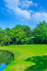 Fototapeta premium Park Green Grove