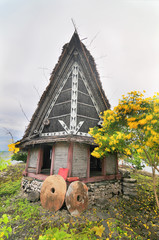 The Men's Meeting house known as a faluw  on Yap island, Micronesia © robnaw