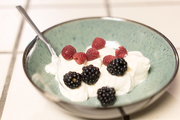 Bowl of yogurt with berries